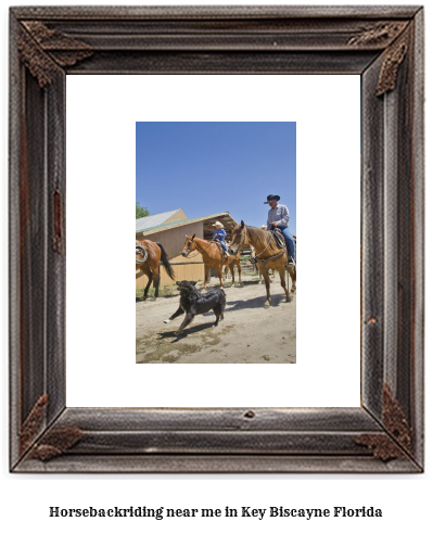 horseback riding near me in Key Biscayne, Florida